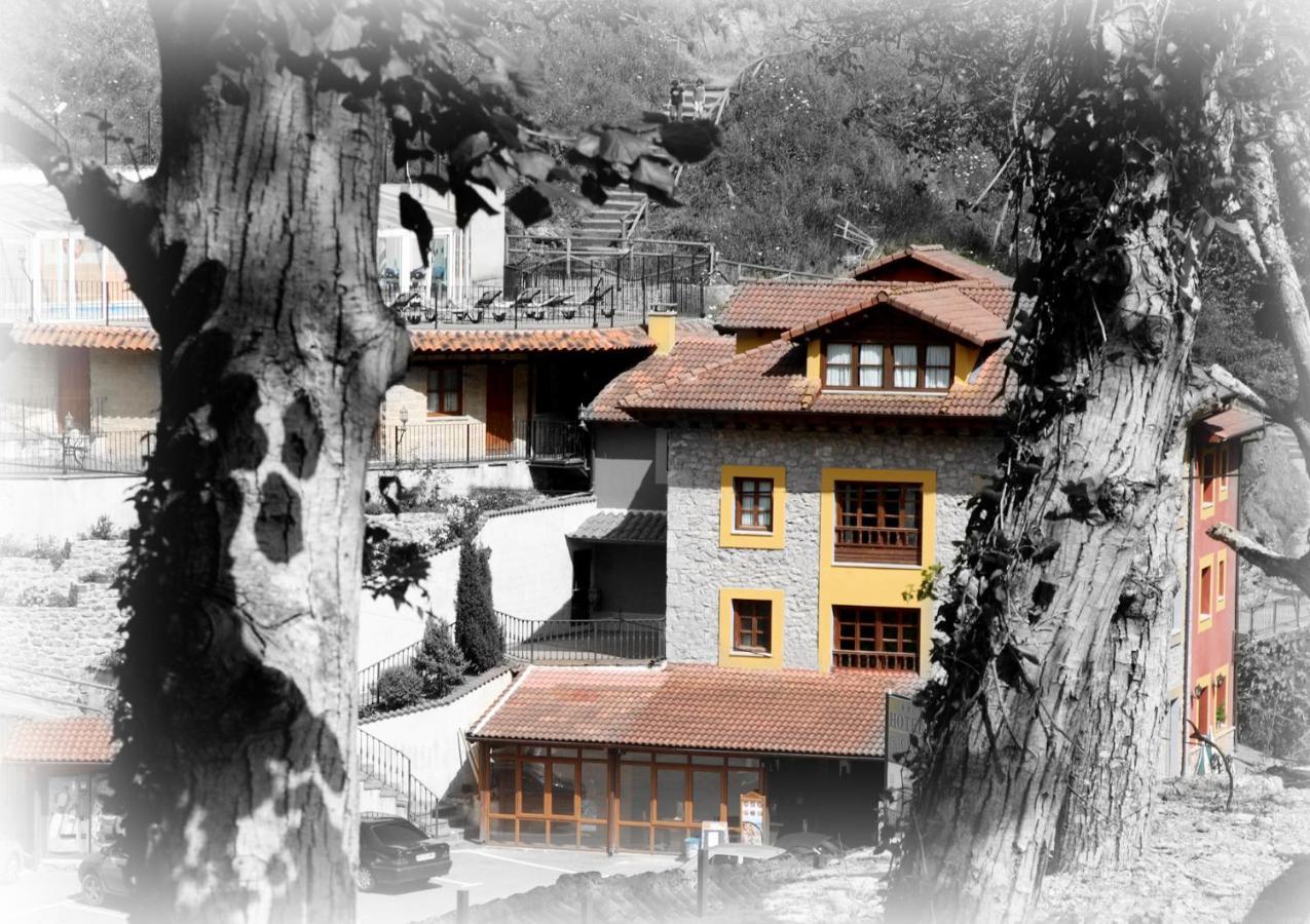 Hotel Puente Vidosa Amieva Екстер'єр фото